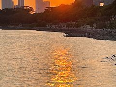 -深圳湾公园(南山区)