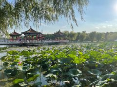 -长春市南湖公园