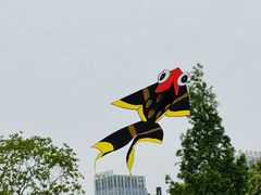 -天鹅湖体育公园