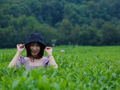 -中国茶叶博物馆(双峰馆区)