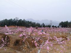 -窦圌山风景区