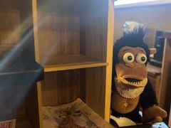 -567·密室逃脱(大良店)