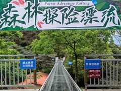 -南丹山森林王国