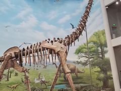 -辽宁古生物博物馆