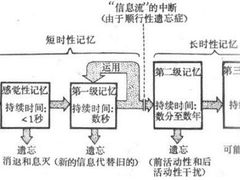 -多特儿童专注力·感统训练·注意力提升培训(锦峰训练中心)
