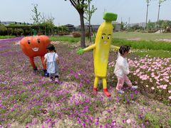 -菊园百果园