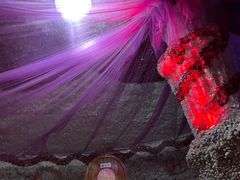 -水晶之星洗浴温泉汗蒸