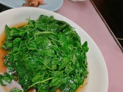 -蘭心餐厅(进贤路店)