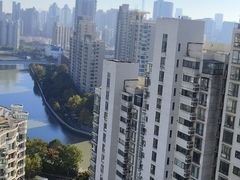 -新湖明珠城