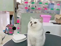 -刘记糟粕醋海鲜烧烤
