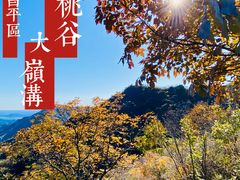 -大岭沟猕猴桃谷风景区