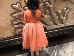 -烟台中泽华羿铂尔曼酒店·汇·全日餐厅·高空海景自助