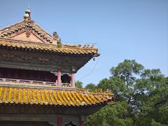 -北陵公园