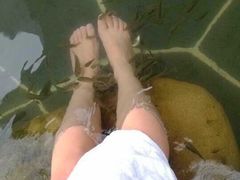 紫清湖生态旅游温泉度假区-南京汤山紫清湖生态旅游温泉度假区