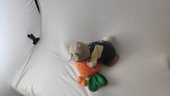 点击看大图 -西瓜庄园儿童摄影