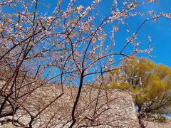 -北京明城墙遗址公园