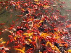 -泰安地下龙宫景区