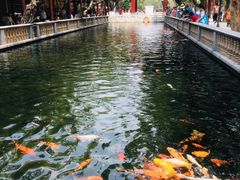 -宝墨园景区