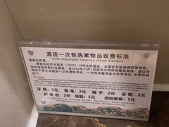 -圣爵菲斯大酒店(长沙世界之窗店)