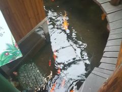 -上海大自然野生昆虫馆(东方明珠·爬宠昆虫探索中心)