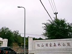 -红山国家森林公园