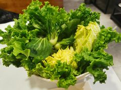 -食潮汕头鲜牛馆(望京保利店)