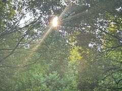 -同里国家湿地公园