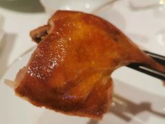 -东富酒家(龙湖西溪天街店)