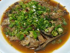 -全乐鱼馆·淳牌有机鱼直营店
