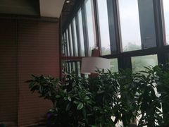 -三强鸽子(中原路店)