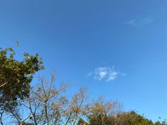 -深圳湾公园(南山区)