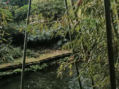 -望江楼公园