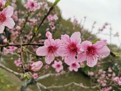 -上海怡沁园度假酒店