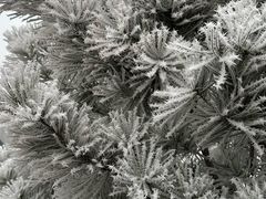 -兴芮温泉度假区