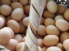 -马陆小张葡萄园农家乐