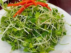 鲜桃仁香椿苗-玉华台饭庄(裕中西里小区店)