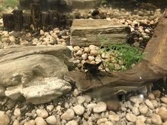 -上海昆虫博物馆