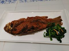 -东方饺子王(新奥购物中心店)