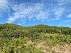 -广州白江湖森林公园