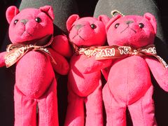 -济州岛泰迪熊博物馆