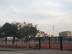 -中山大学学者灵芝(园南路店)
