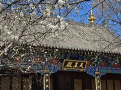 -护国法轮寺