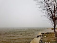 -嬉子湖生态旅游区