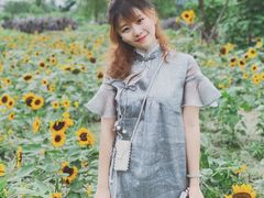 景点-天府芙蓉园