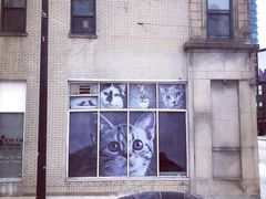 -66号公路起点牌