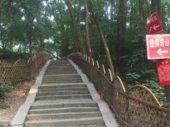 -灵岩山风景区