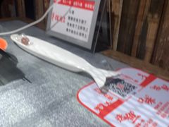 -探鱼·鲜青椒爽麻烤鱼(天河优托邦店)