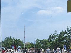-养马岛旅游度假区