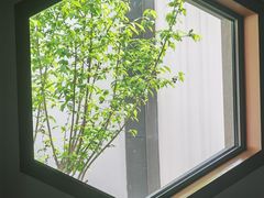 -拙政园