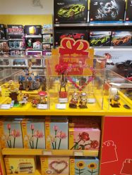 -乐高授权专卖店(朝阳大悦城店)